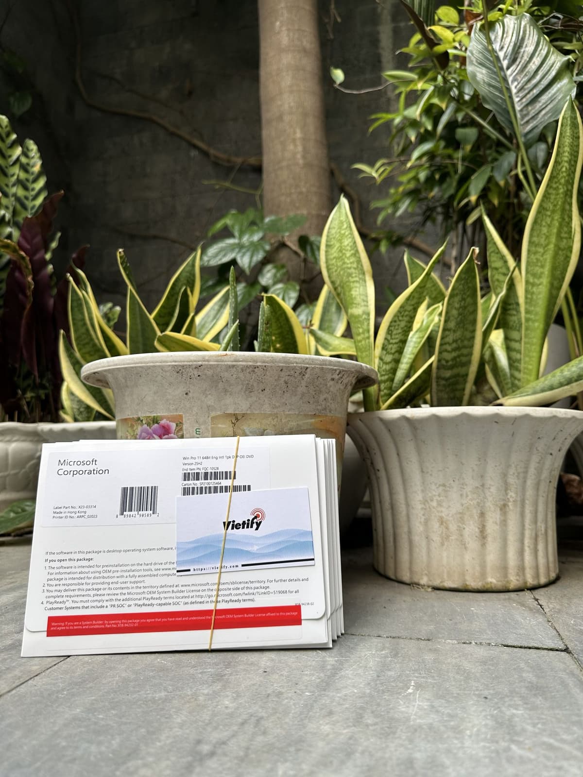 How to Migrate from Cracked Software to Licensed Without Losing Files or Data